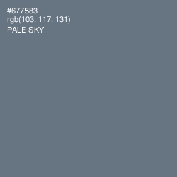 #677583 - Pale Sky Color Image